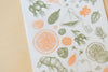 MU Print-On Sticker - Botanical Series IV