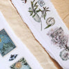 LCN x Papier Platz Washi Tapes