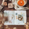 Nove Home Rubber Stamp Collection - Side Drawer