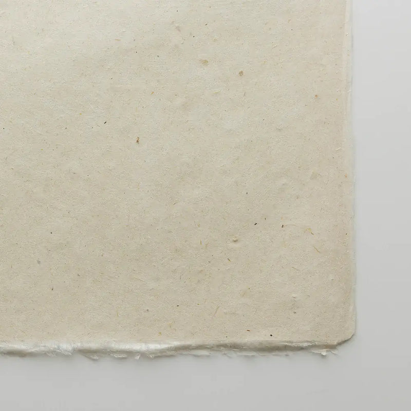 Nature Organic Paper Assortment Pack