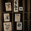 som studio Rubber Stamp: Pressed Flower Series