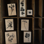 som studio Rubber Stamp: Pressed Flower Series