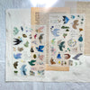 Pion: Print-On Stickers VII - Bird Island