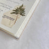 Pressed Flower Print-on Sticker: Red Cedar