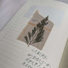 Pressed Flower Print-on Sticker: Red Cedar