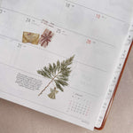 Pressed Flower Print-on Sticker: Red Cedar
