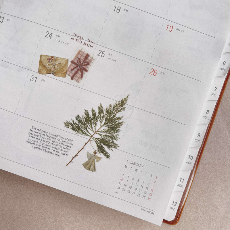 Pressed Flower Print-on Sticker: Red Cedar