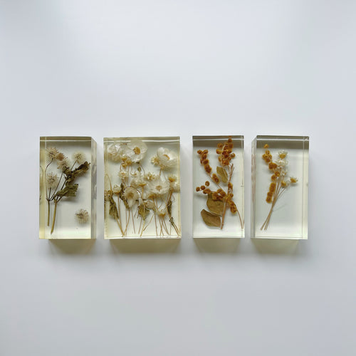 Aged Paperweight I - IV