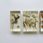 Aged Paperweight I - IV