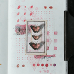 LCN Print-On Stickers - Colour Squares