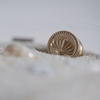 Endless Summer Wax Seal - Seashell
