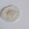 Endless Summer Wax Seal - Seashell