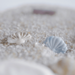 Endless Summer Wax Seal - Seashell