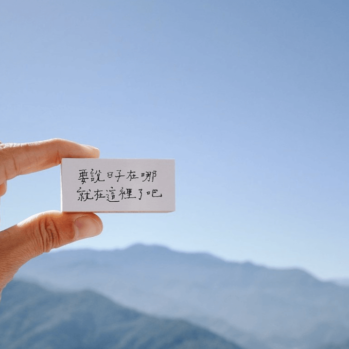 LDV Rubber Stamp: Where are all the days gone