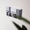 Suatelier Stickers -  Gleam with
