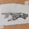 LCN Anatomy Mineral Stamps