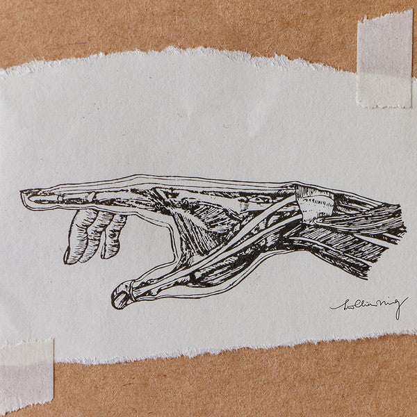 LCN Anatomy Mineral Stamps